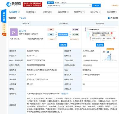 网信集团再生变数 赵会民被下达限制消费令，金融信息技术外包服务受关注
